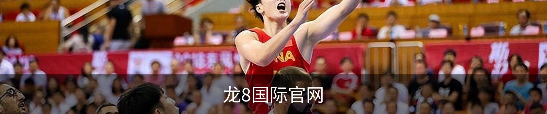 龙8国际官网